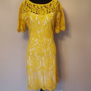 Yellow Lace Dress w/ White Underlay XL